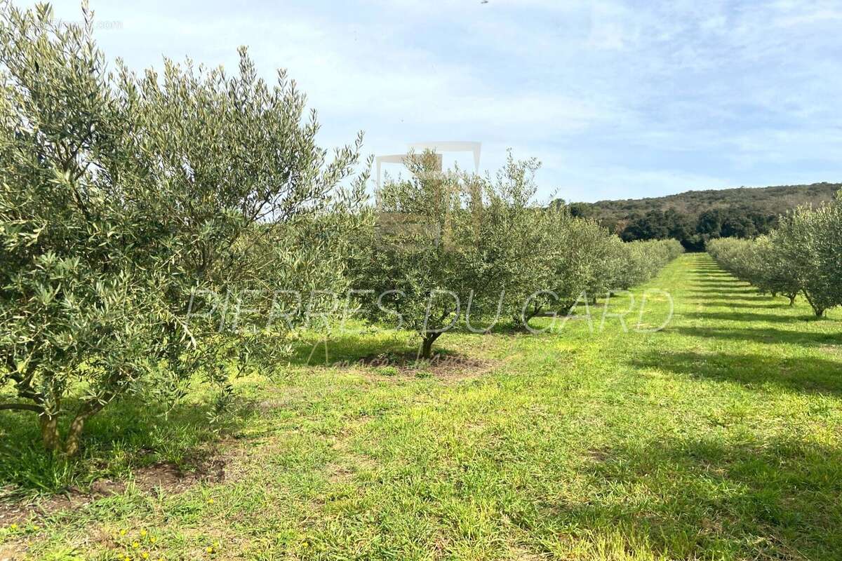 Terrain à SAINT-MAXIMIN