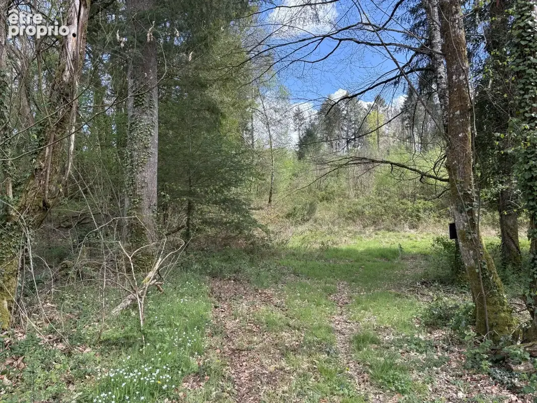 Château Chervix maison de 4 pièces, étang, bois et 3,36 ha sans voisinage - photo 20