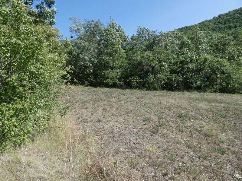 Terrain 3 170 m² à vendre à Le Saix (05400) - photo 7