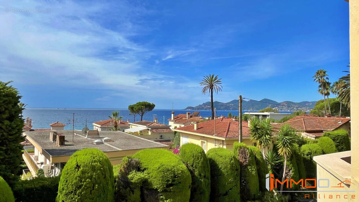 Bureau/chambre - Appartement à CANNES