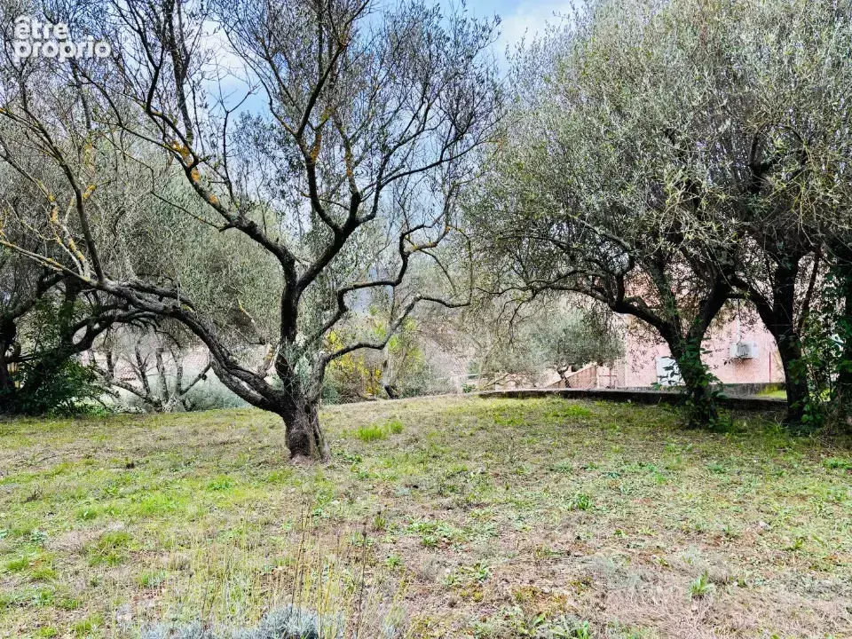 Terrain 700 m² à vendre à Pignans (83790) - photo 3