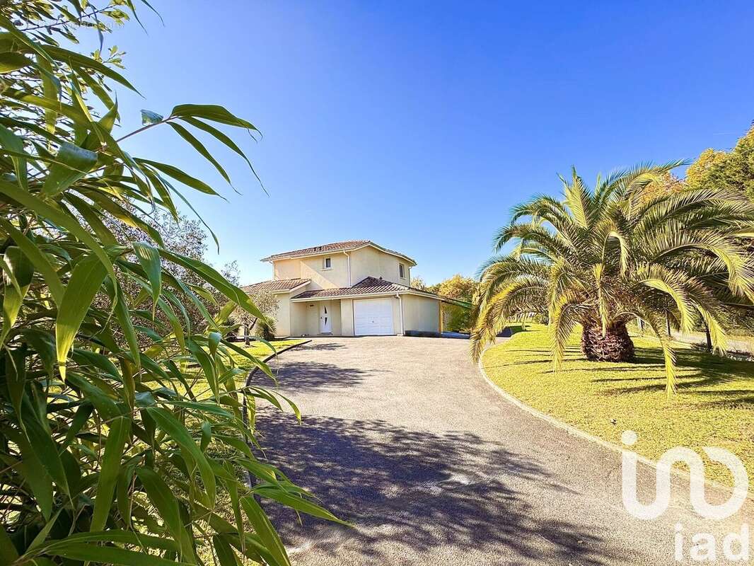 Photo 6 - Maison à SAINT-ANDRE-DE-SEIGNANX