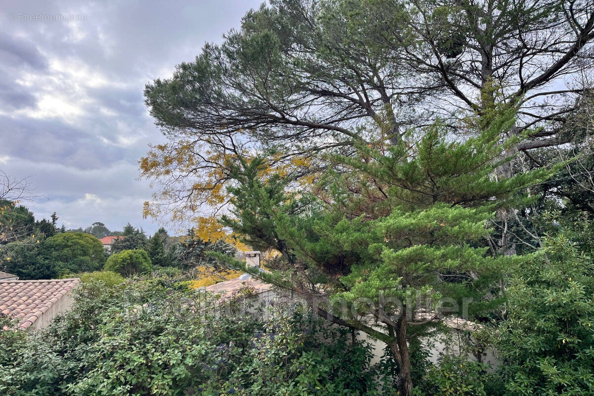 Maison à CASTELNAU-LE-LEZ