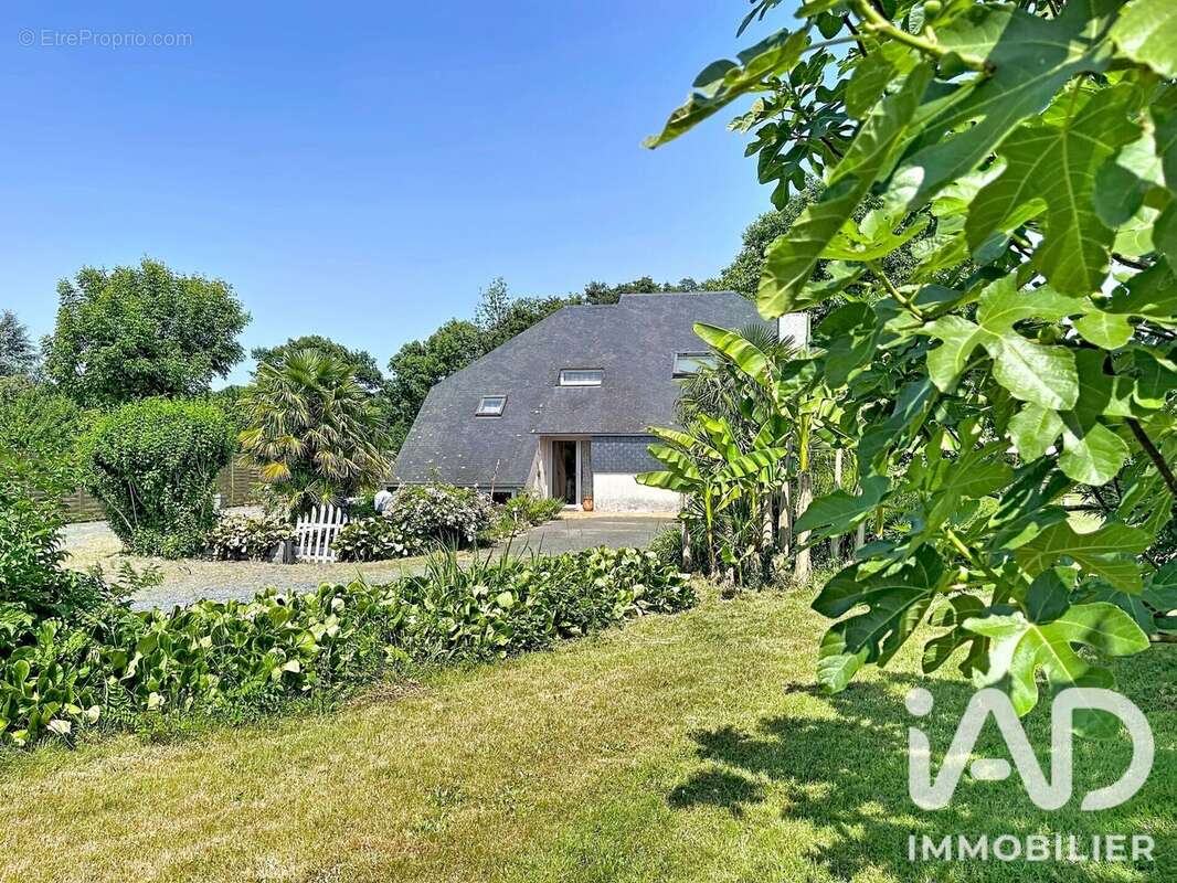 Photo 5 - Maison à PONTACQ
