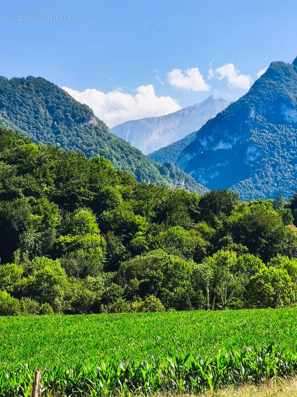 Terrain à ARTHEZ-D'ASSON