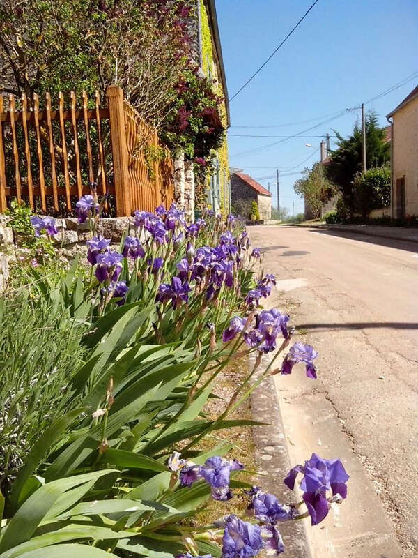 Longère bourguignonne secteur MAILLY-LA-VILLE 151 200 €. - photo 10