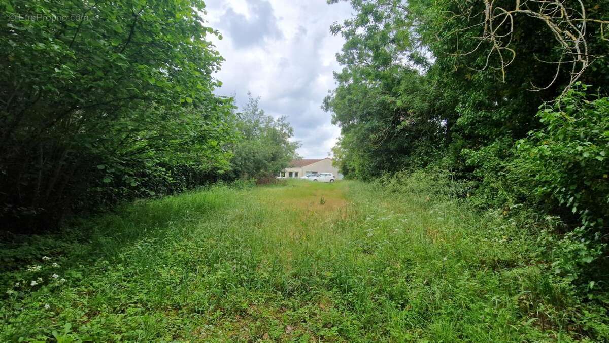 Centre-Ville du LANDREAU! - photo 2