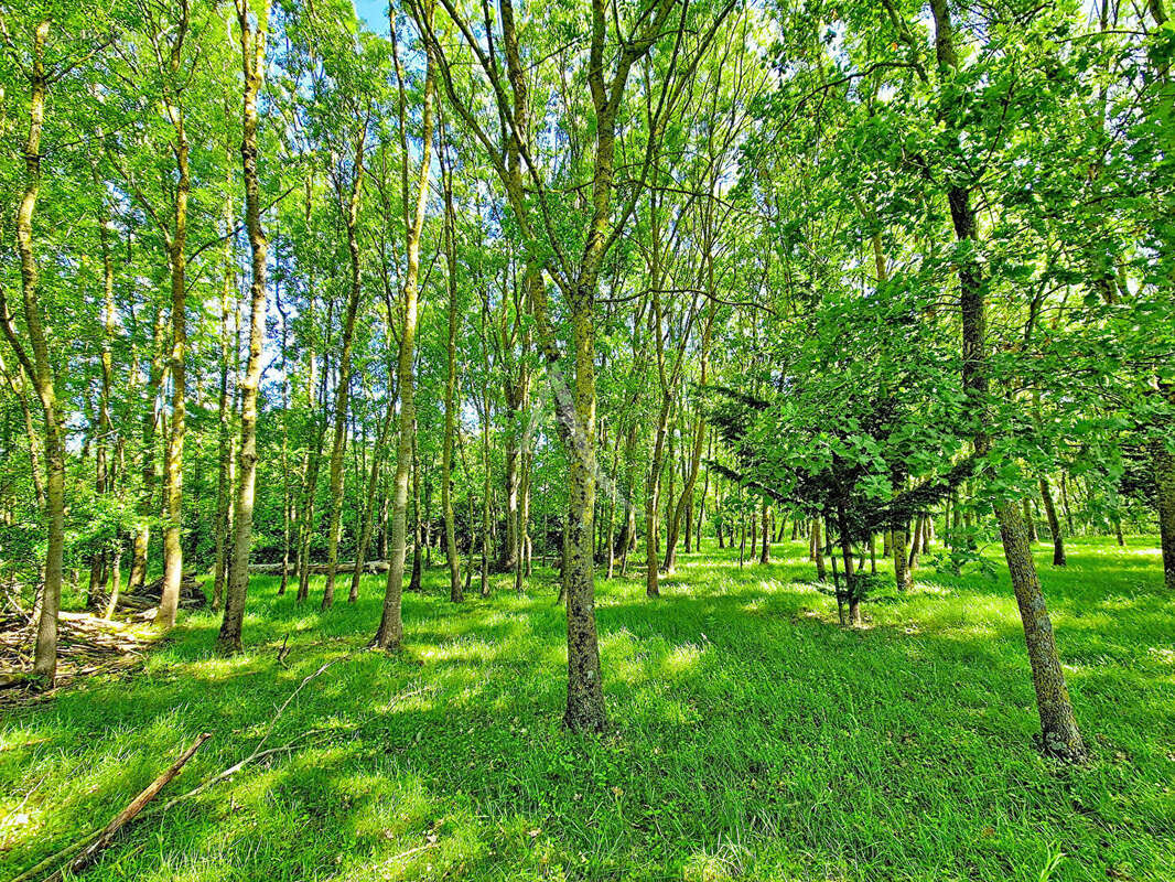 Terrain à CHAVAGNES