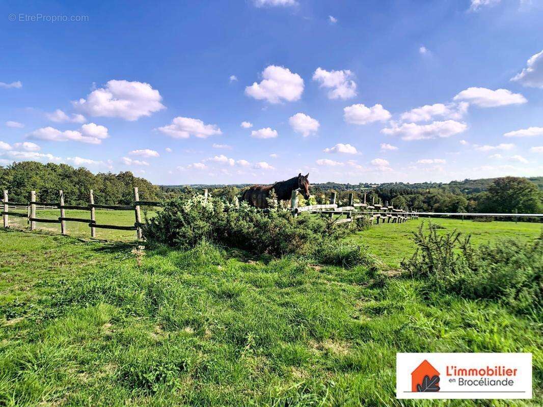 Maison à PLELAN-LE-GRAND