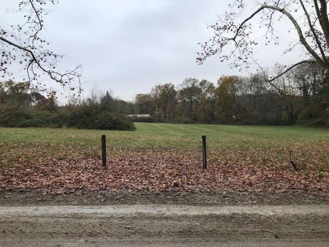 Photo 2 - Terrain à MARTILLAC