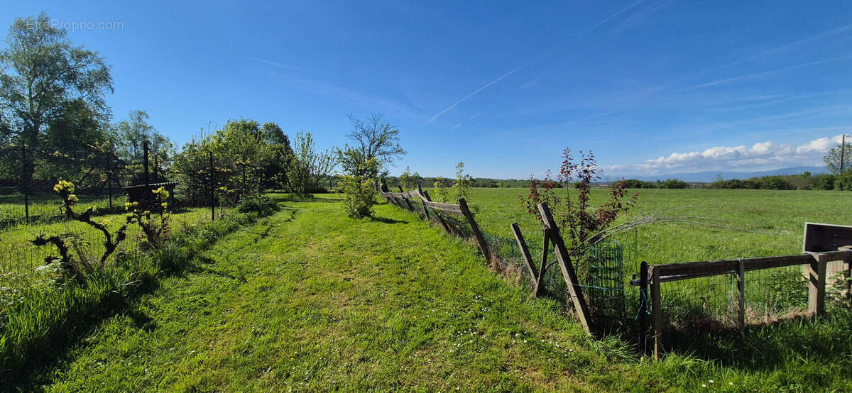 Maison Vienne 4 pièce(s) 116 m2 - photo 9