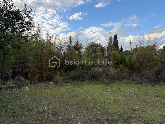 Terrain à PEZILLA-LA-RIVIERE