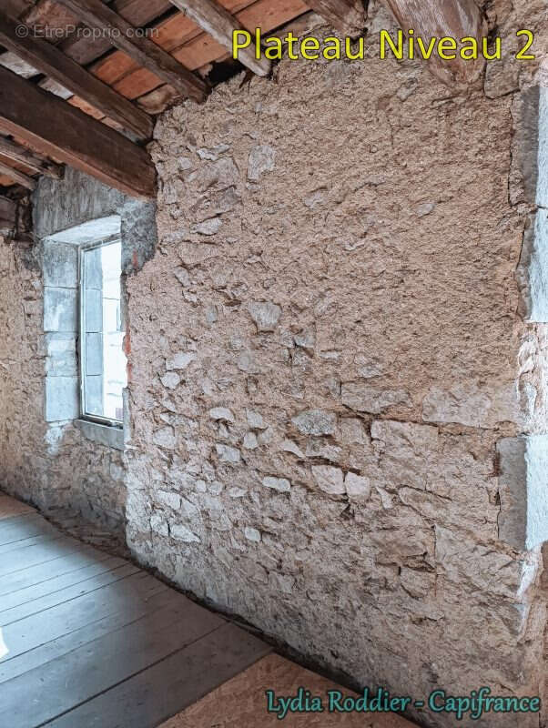 Maison de maître de 10 pièces avec terrain RARE à Thiers (63300) - photo 16