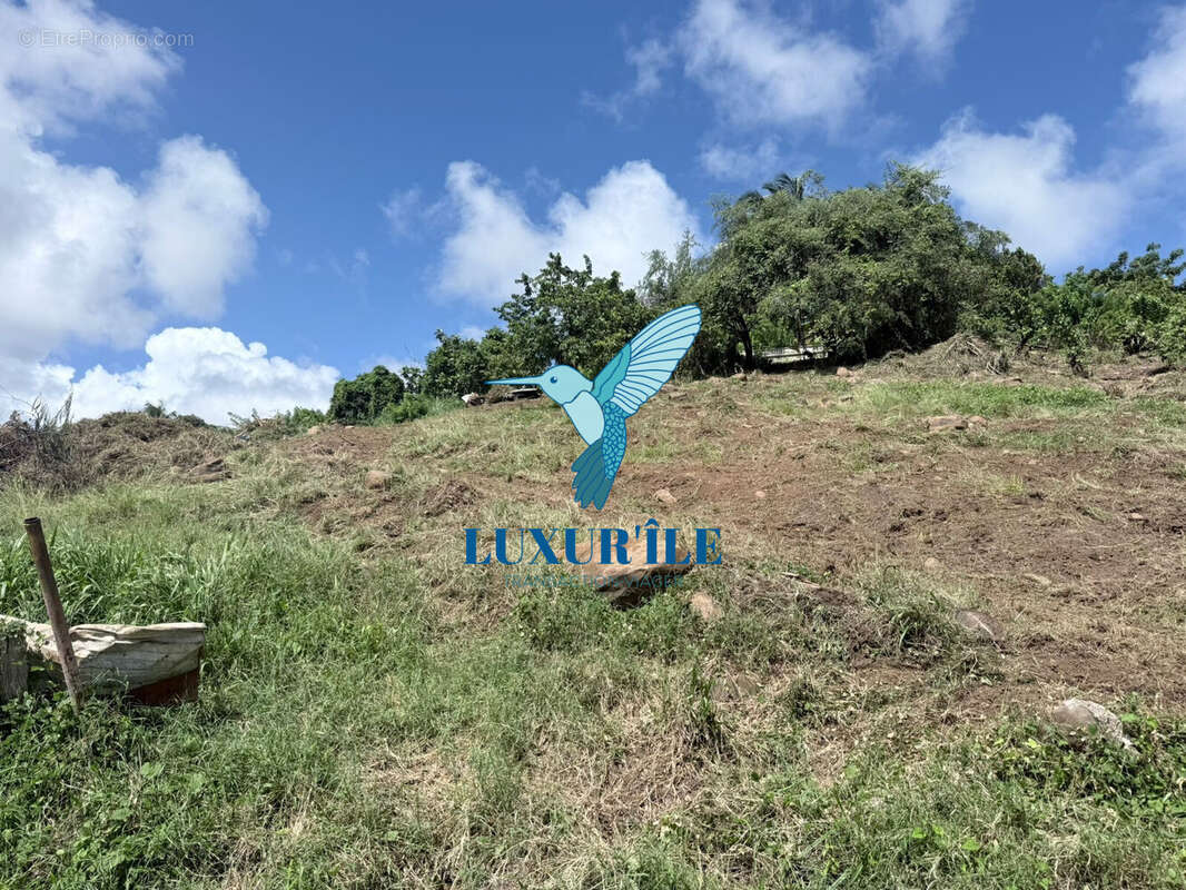 Terrain à LE FRANCOIS