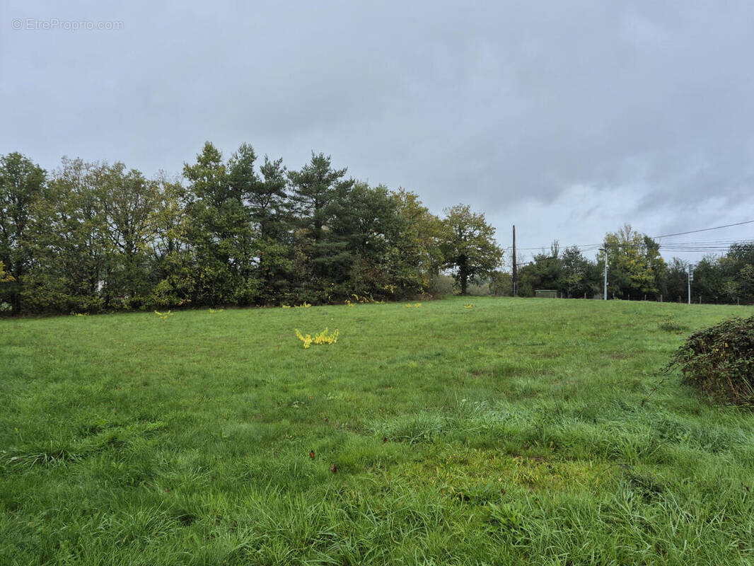 20251022_153029 - Terrain à ABJAT-SUR-BANDIAT