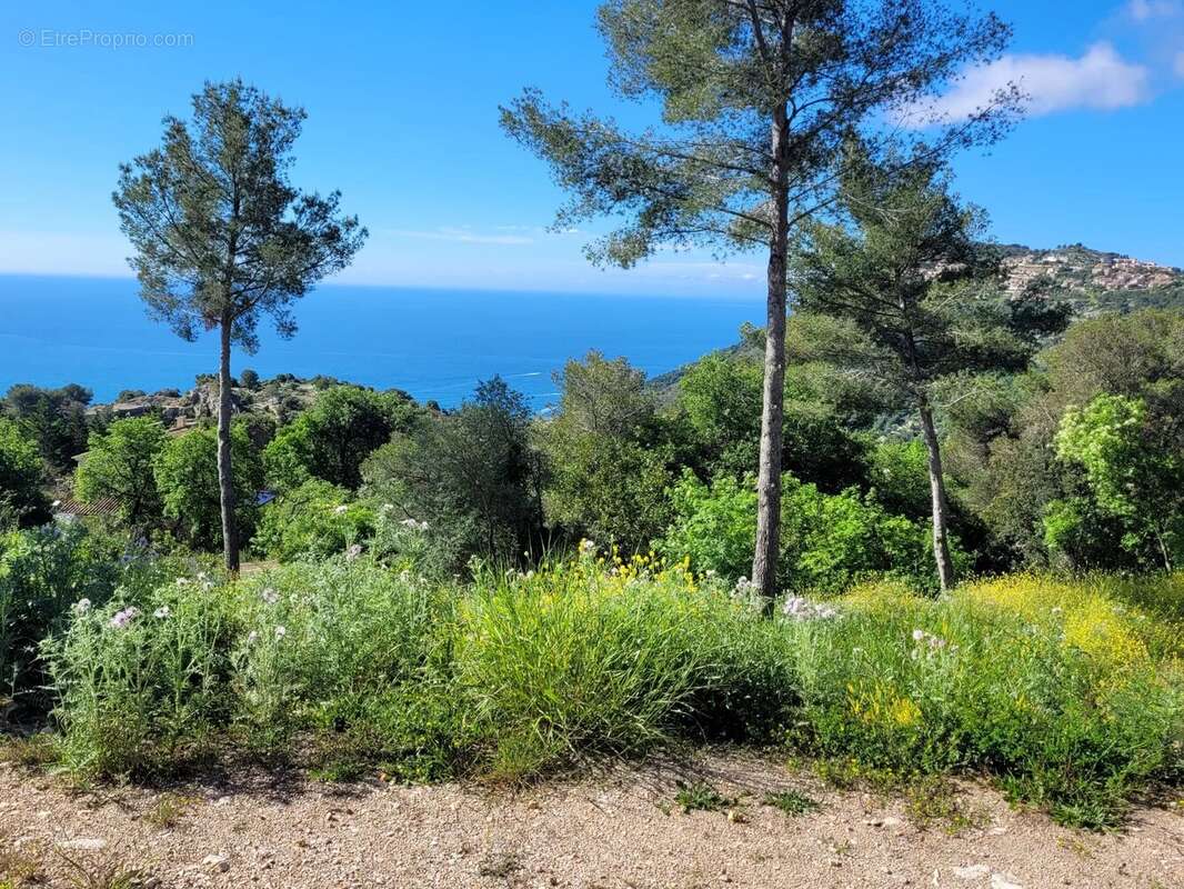 Terrain à LA TURBIE