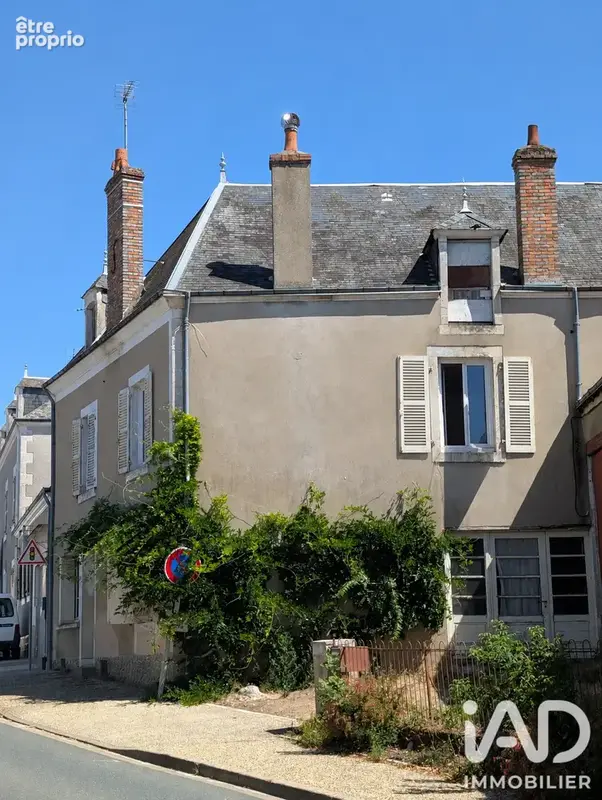 Photo 1 - Maison à THEVET-SAINT-JULIEN