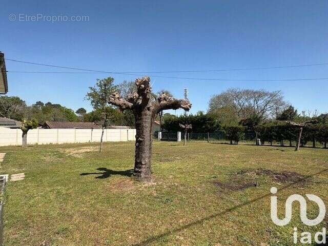 Photo 2 - Maison à MONT-DE-MARSAN