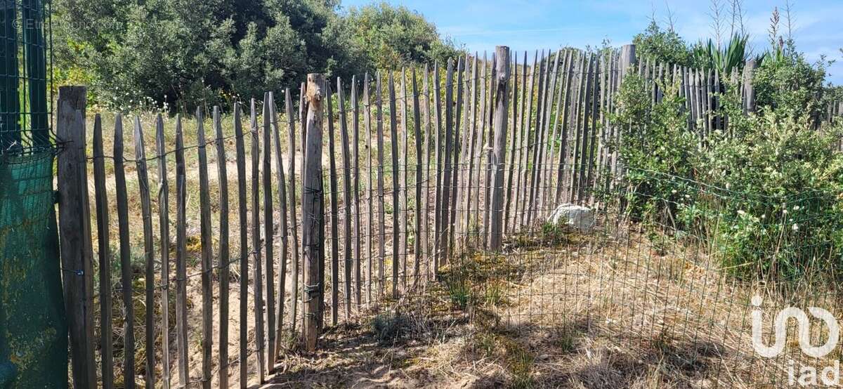 Photo 6 - Terrain à SAINT-GEORGES-D'OLERON
