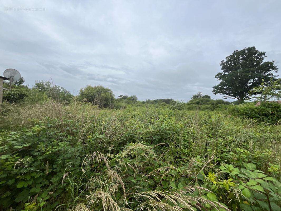 Terrain à ROMORANTIN-LANTHENAY