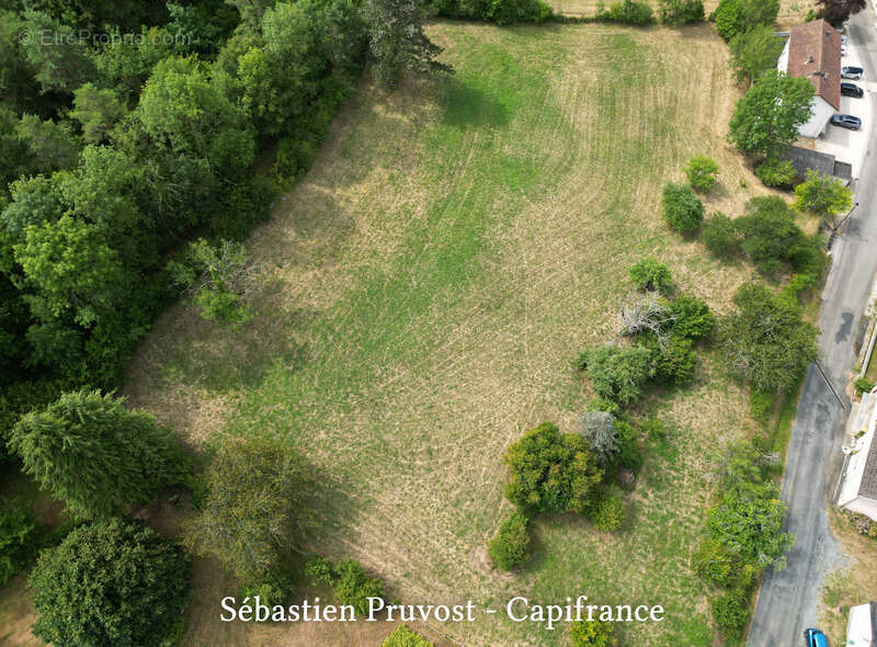 Terrain à vendre  NANTHIAT (24), ensemble foncier, terrain avec CU et bois secteur bourg, bassin sur le terrain. 9839m2 - photo 2