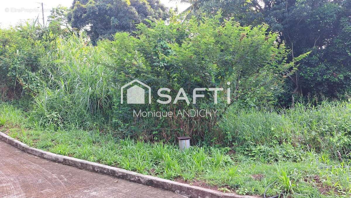 Photo 2 - Terrain à LE FRANCOIS