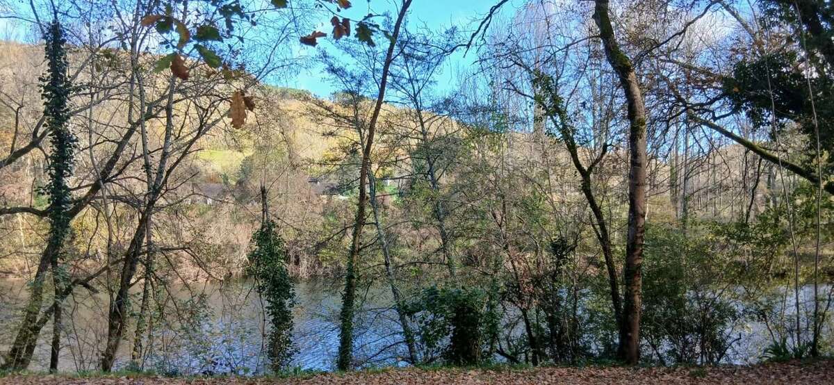 Maison à SAINT-ANTONIN-NOBLE-VAL