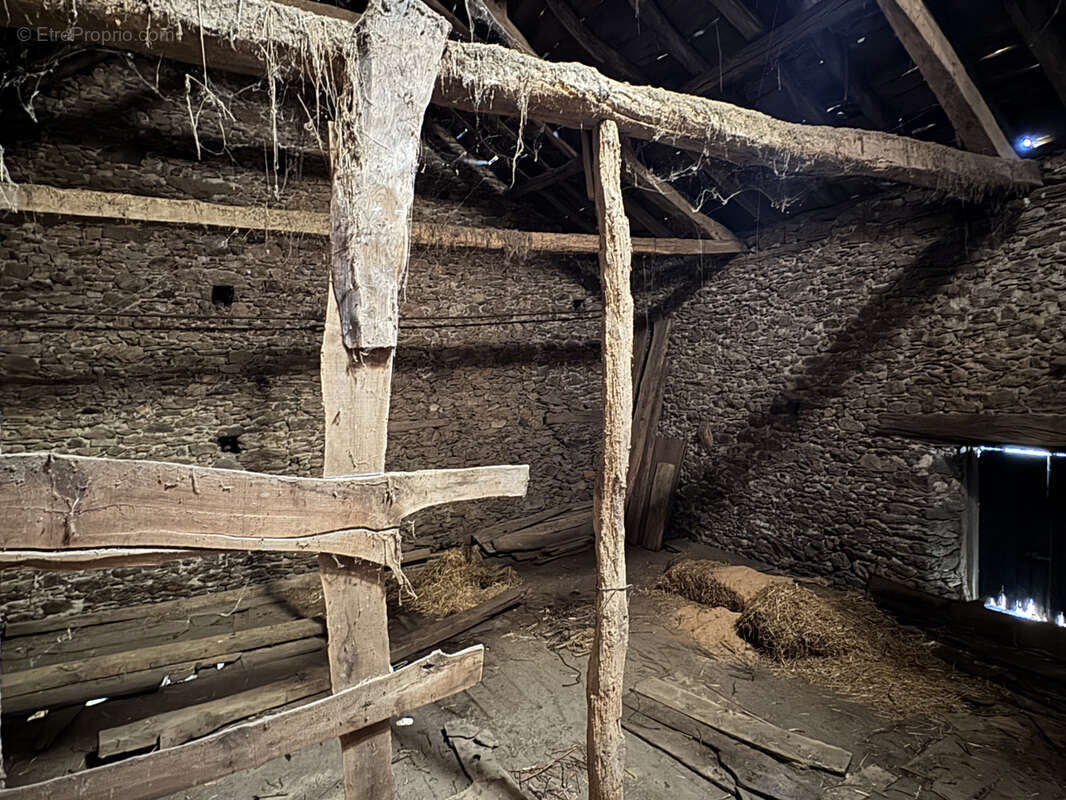 Maison à PAMPELONNE