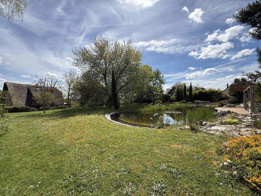 Chaumiere crecy couve - photo 4
