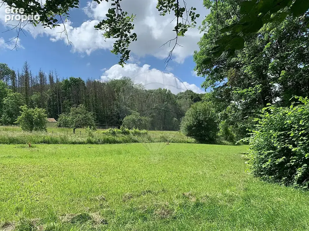 Terrain  à vendre - photo 6