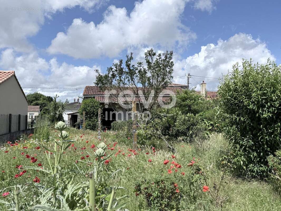 Maison + dépendances à rénovées, avec jardin. - photo 9