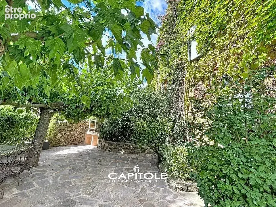 Magnifique propriété de 9 hectares à St Maxime avec Bastide en pierre, oliveraie et dépendances. - photo 6