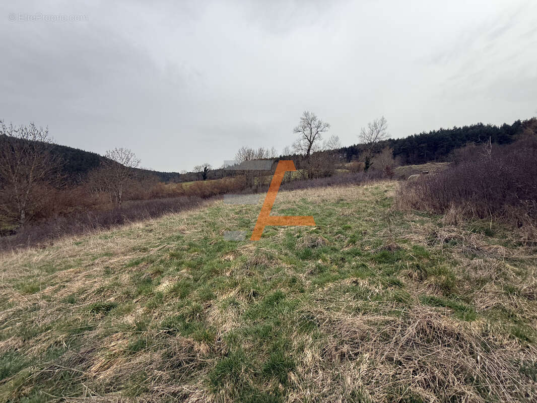 Terrain à CHADRON