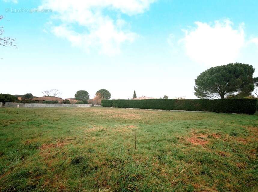 Terrain à LA SALVETAT-SAINT-GILLES