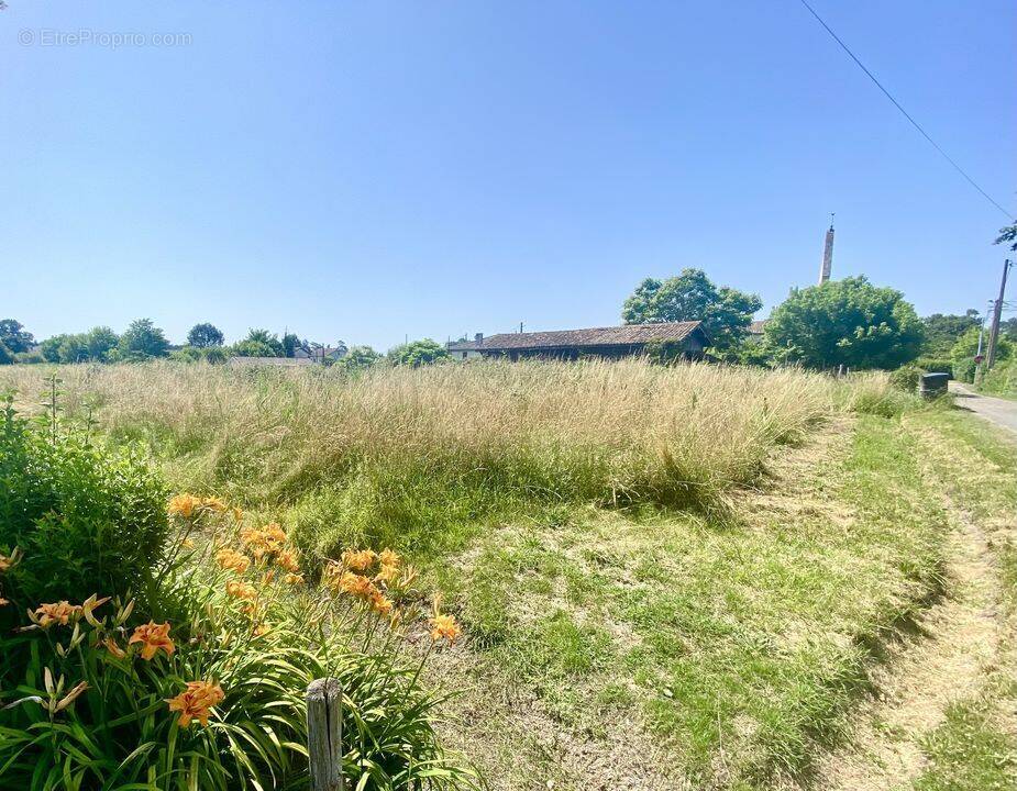 Terrain à SAINT-MICHEL-DE-CASTELNAU