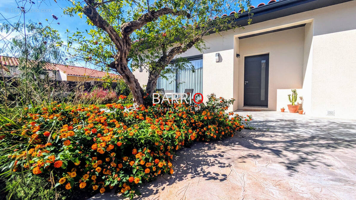 Maison à LAROQUE-DES-ALBERES