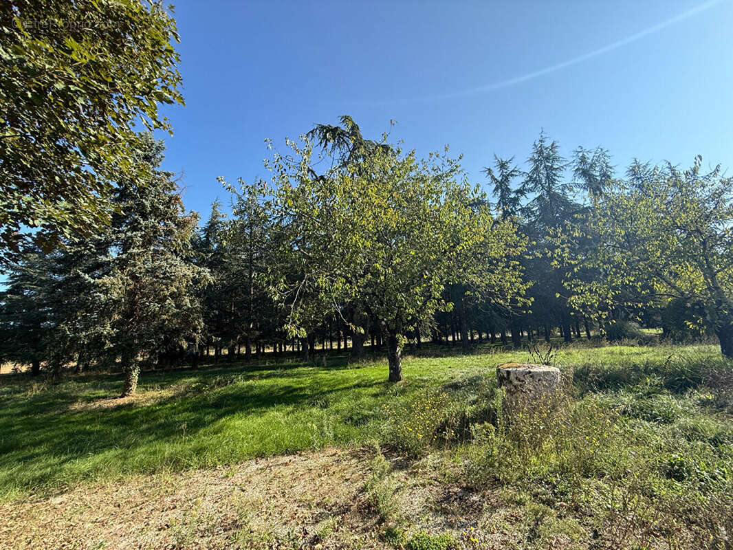 Propriété en pierre - photo 6
