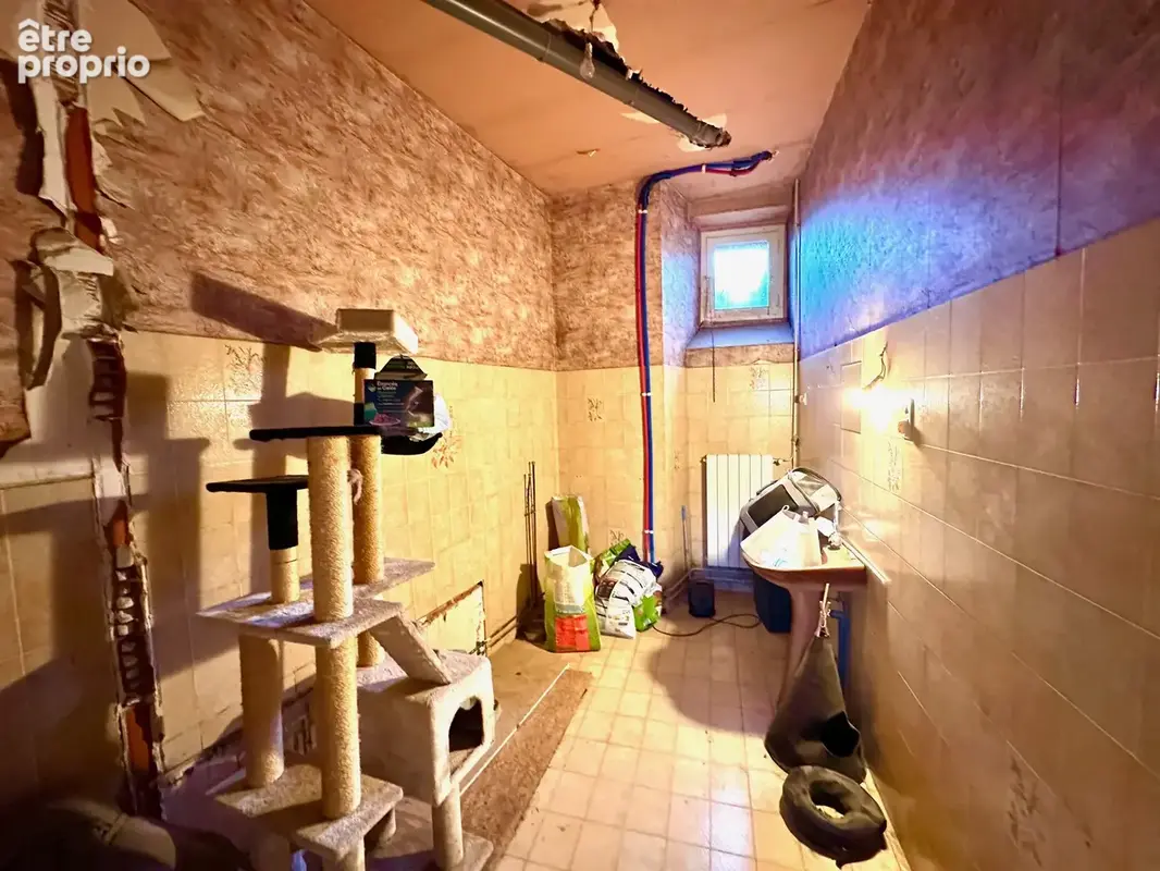 Maison de village  rue Maninat + dépendances - photo 37