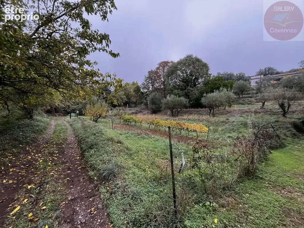 Terrain à MONOBLET
