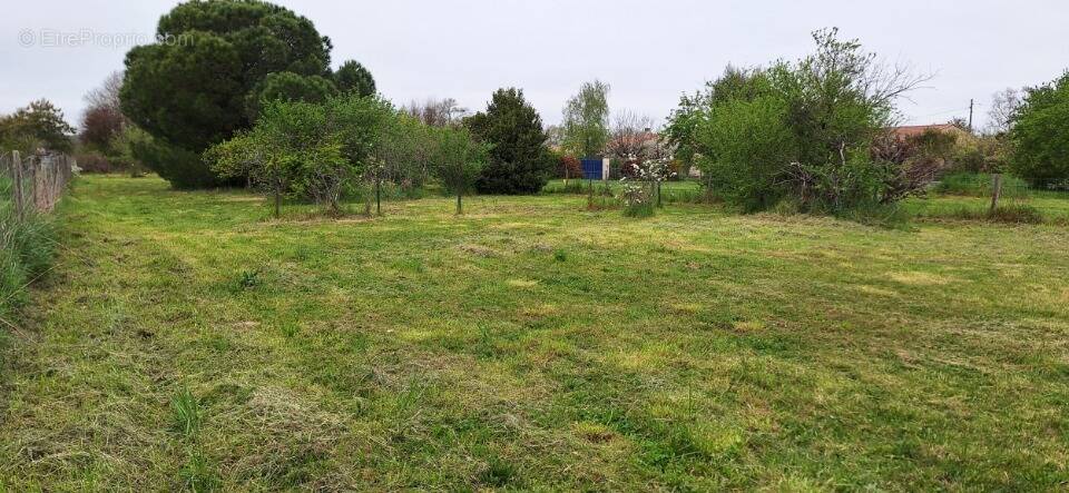 Terrain à PUJAUDRAN