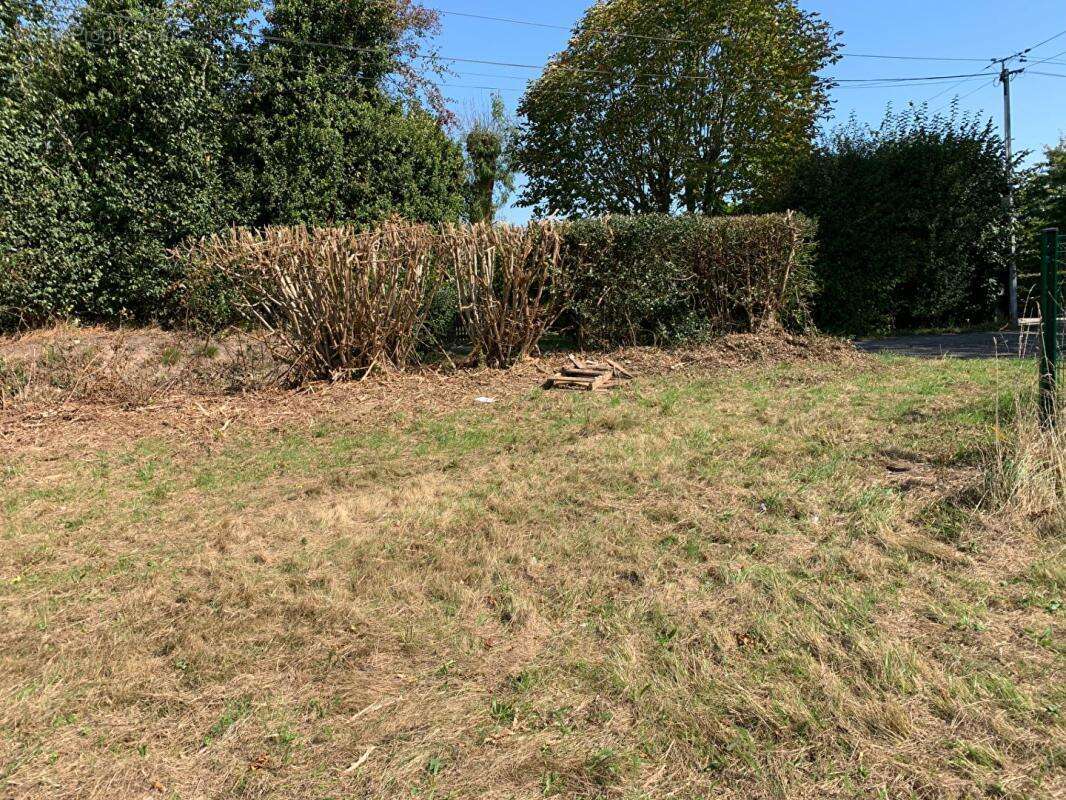 Terrain à LA TRINITE-DE-REVILLE