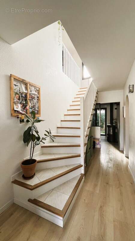 Maison à MONTPELLIER