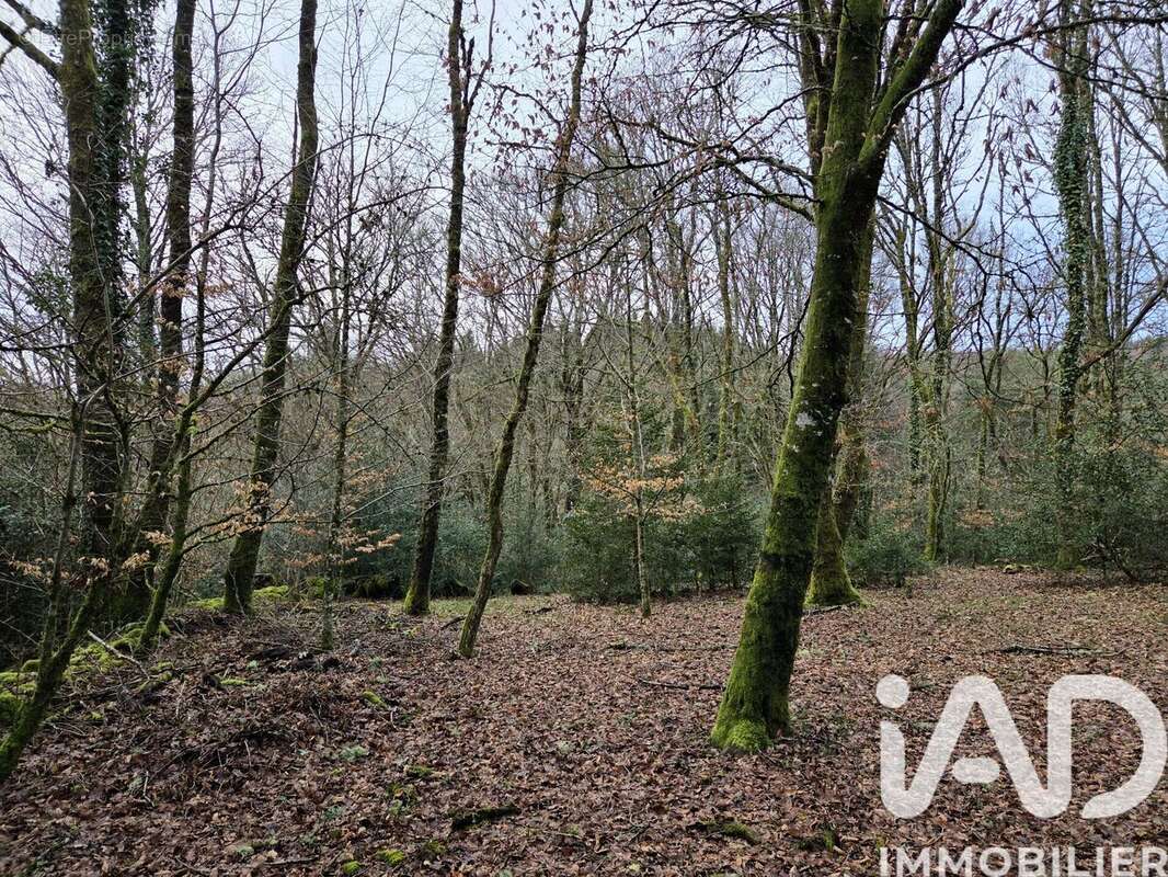 Photo 6 - Maison à TARNAC