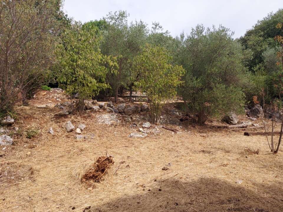 Terrain à CAMPS-LA-SOURCE