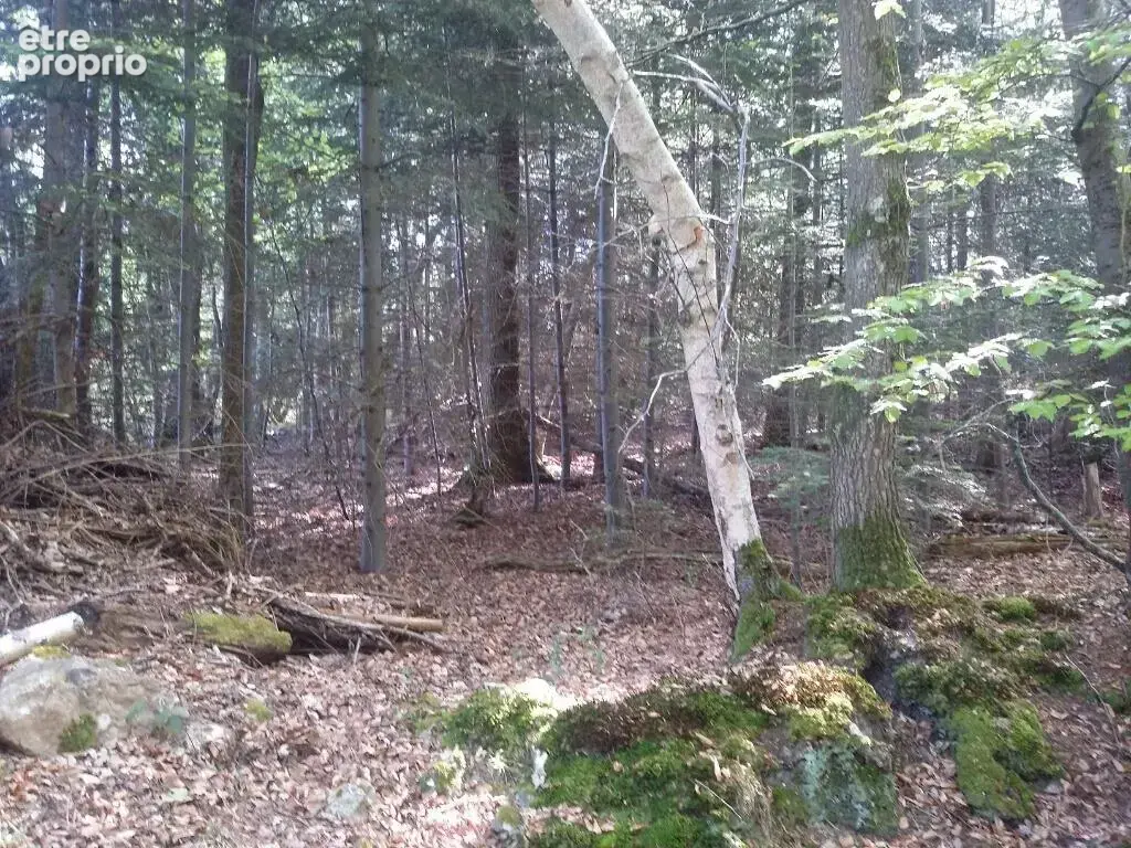 Terrain à LA FOLLETIERE-ABENON