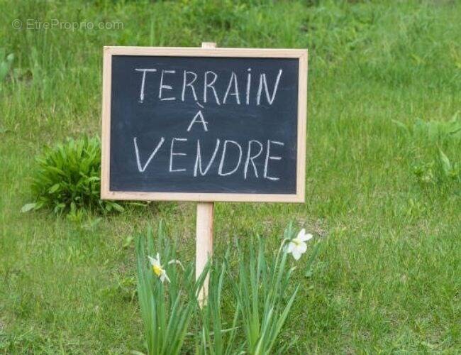 Terrain à POULX