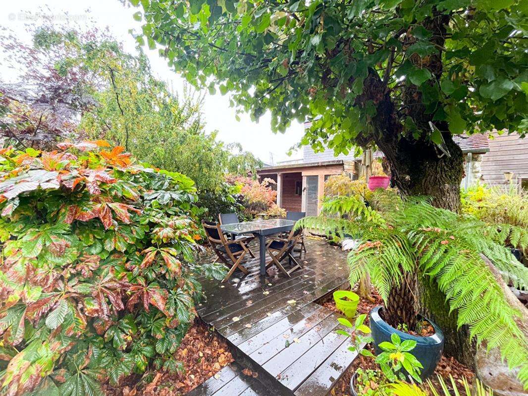 Maison à NOUANS-LES-FONTAINES