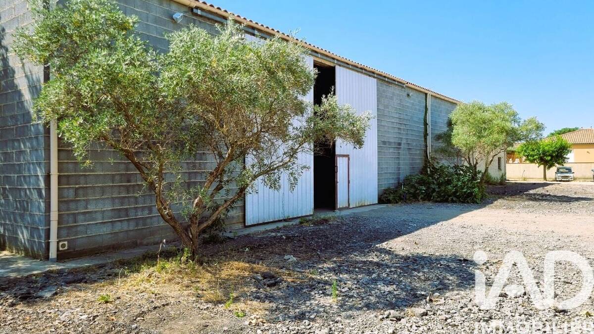 Photo 1 - Maison à PUISSALICON