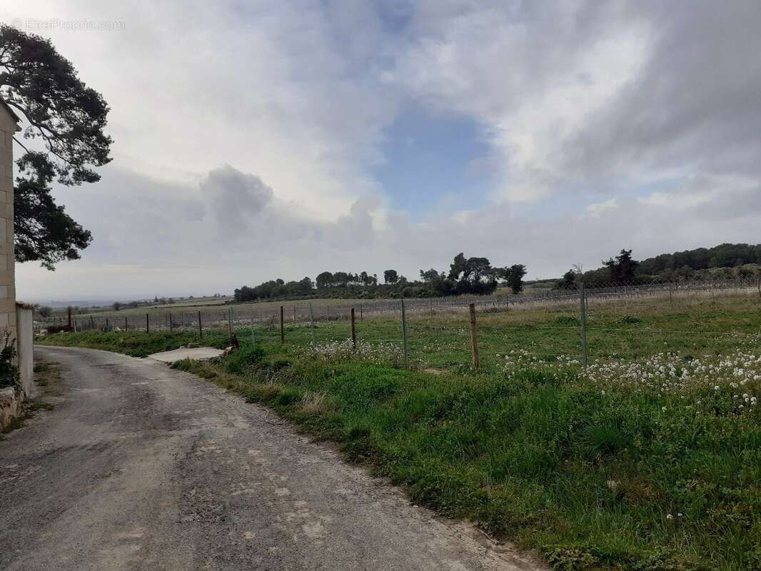 Maison à PUISSERGUIER