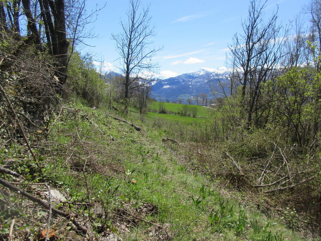Terrain à SAINT-CREPIN